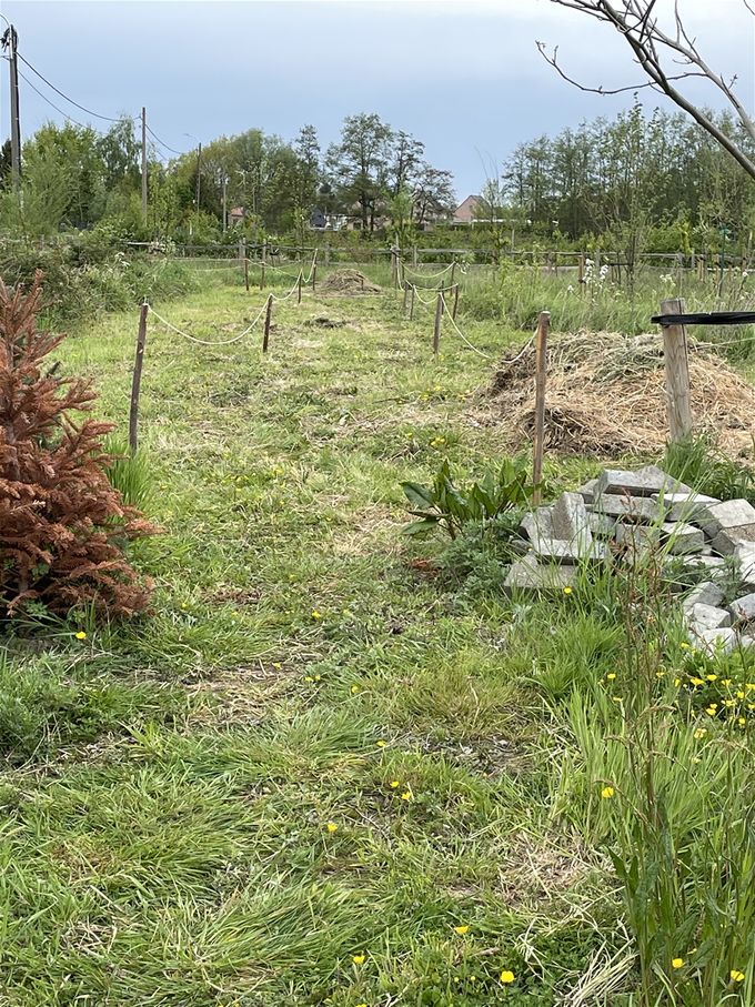 Het paadje aan hoogveld is afgebakend... nu de klinkers nog stapelen tot stapelmuurtje.