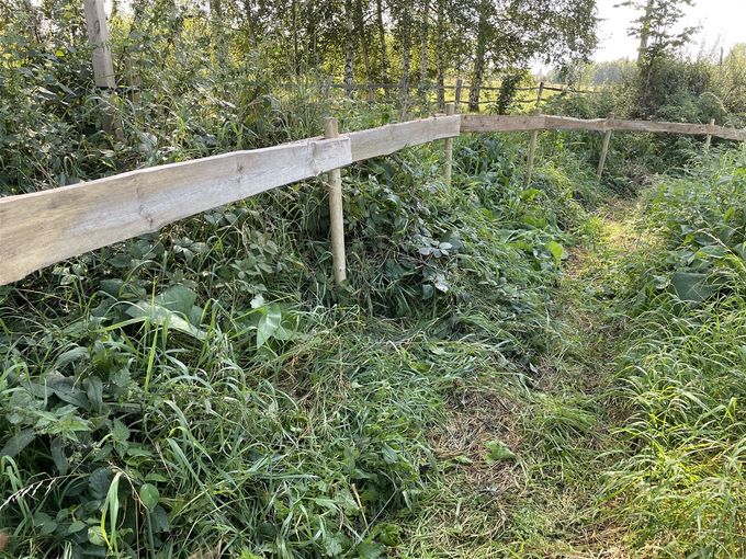 De laatste planken rond de bijentuin zijn een feit...