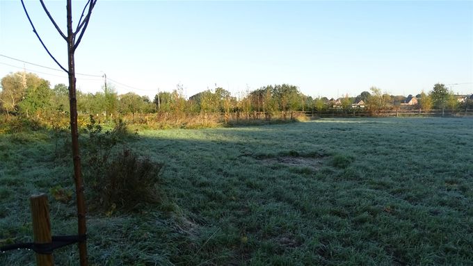 Dit was met de eerste vrieskoude... (foto CdC)
