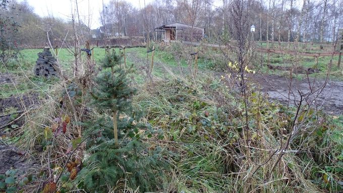 Er mogen gerust nog wat sparren bij... (Foto CdC)