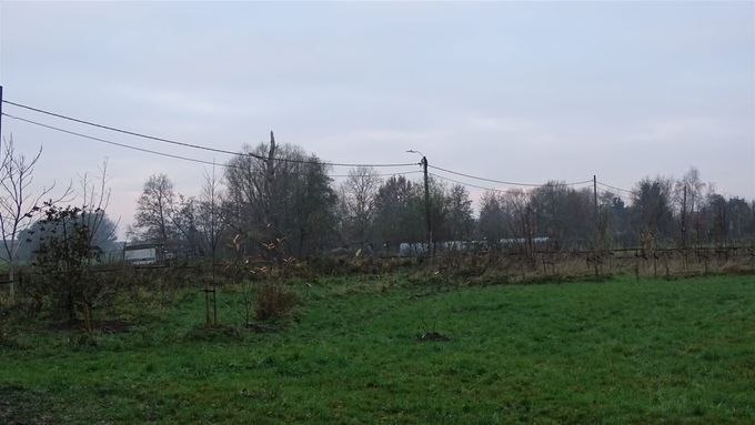 Wellicht zal hier binnen 5 jaar een gemengde haag zichtbaar zijn, bevolkt met leuke zangers... (foto CdC)