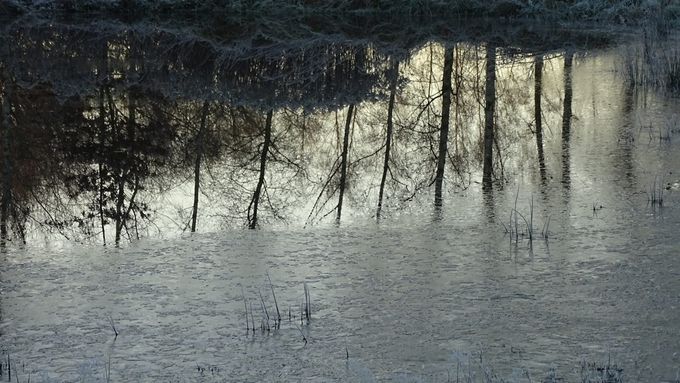Spiegeltje spiegeltje aan't Ebroekske... (foto CdC)