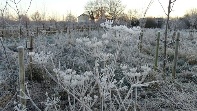 Alweer passé... (foto CdC)