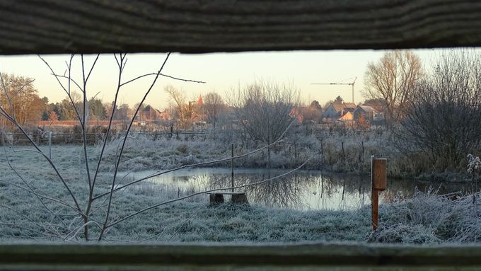 Winterse poel... (foto CdC)