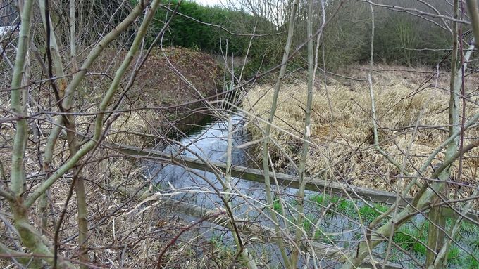 Het paadje achteraan is een beekje geworden... (foto CdC)