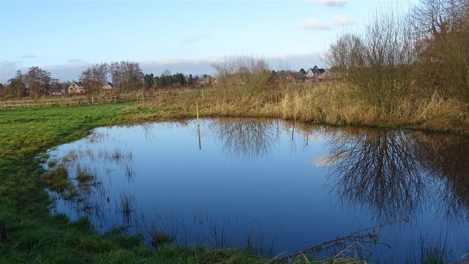 Eén van de eerste zonnige dagen... (foto CdC)