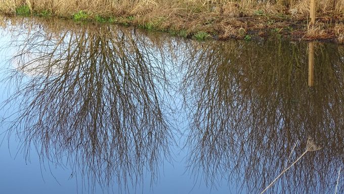 Van omhoog te kijken krijg je een stijve nek... (foto CdC)