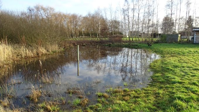 Zonder woorden... (foto CdC)