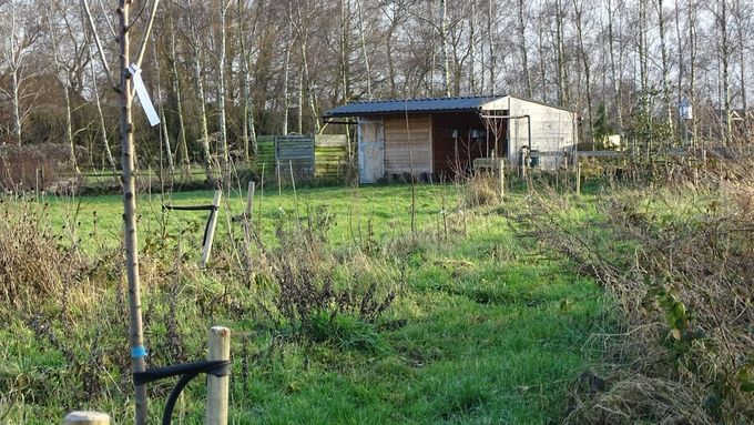 Sommige bomen verdienen twee linten... (foto CdC)