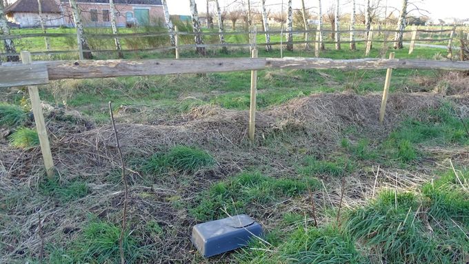Oeps, wat ligt daar tegen de grond...? (foto CdC)