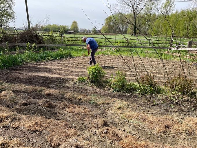 De zaaier in actie...
