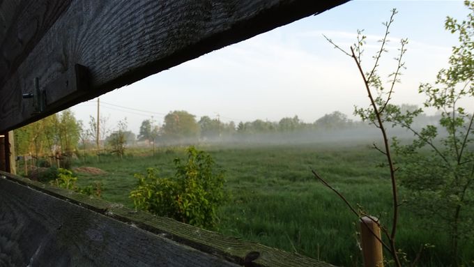 En nu maar wachten... (foto CdC)
