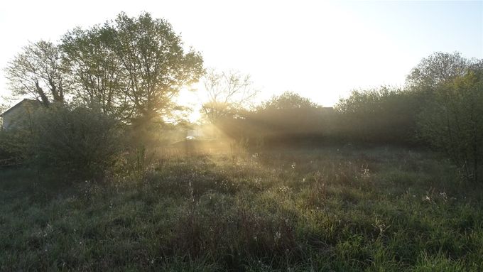 Zon breekt door... (foto CdC)