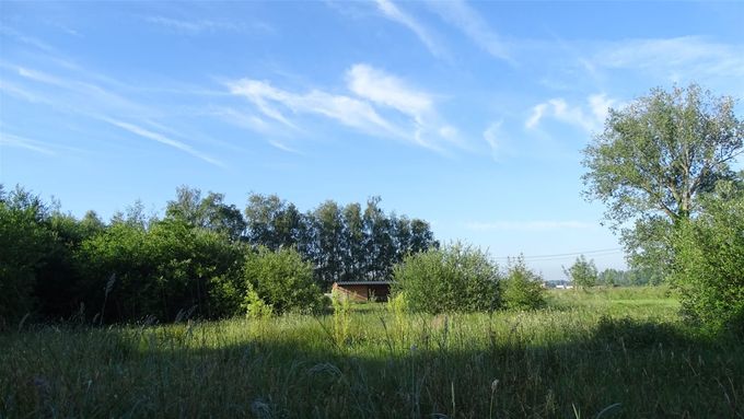 Groen, groener, groenst... (Foto CdC)