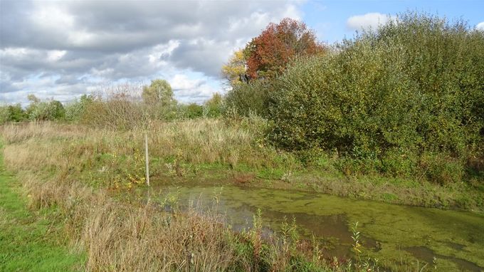 Er is nog plaats voor wat kroes... (foto CdC)
