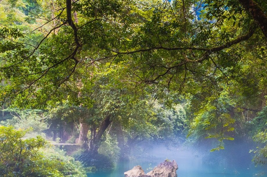 Water springs create an oasis of tranquillity