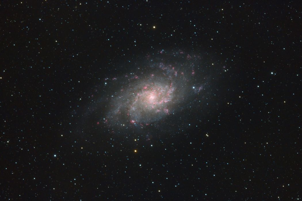 M33
