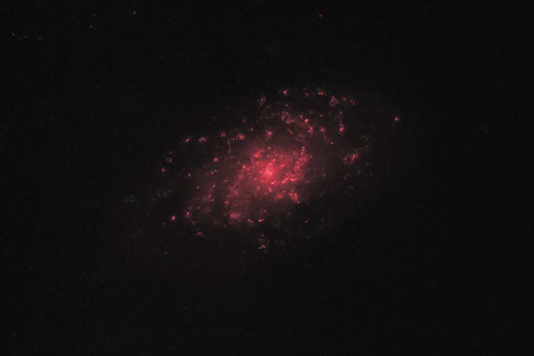 M33_HA