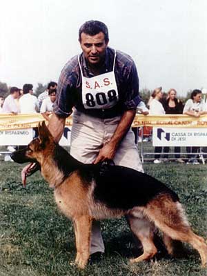 max 6
