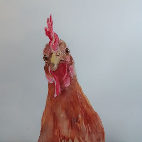 Henni