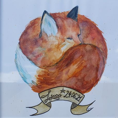 Fuchs Illustration 