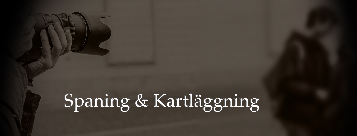 Spaning_kartläggning