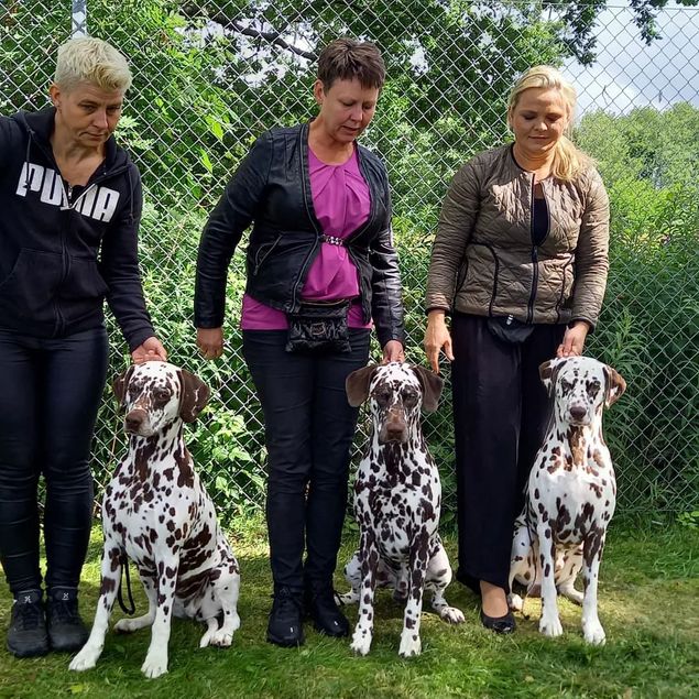 Mamma Garbo Sonen Nizze Pappa Bob