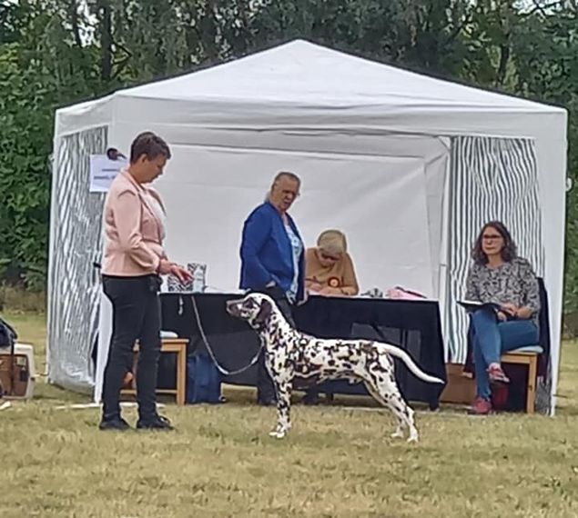 Nizze och Jeanette