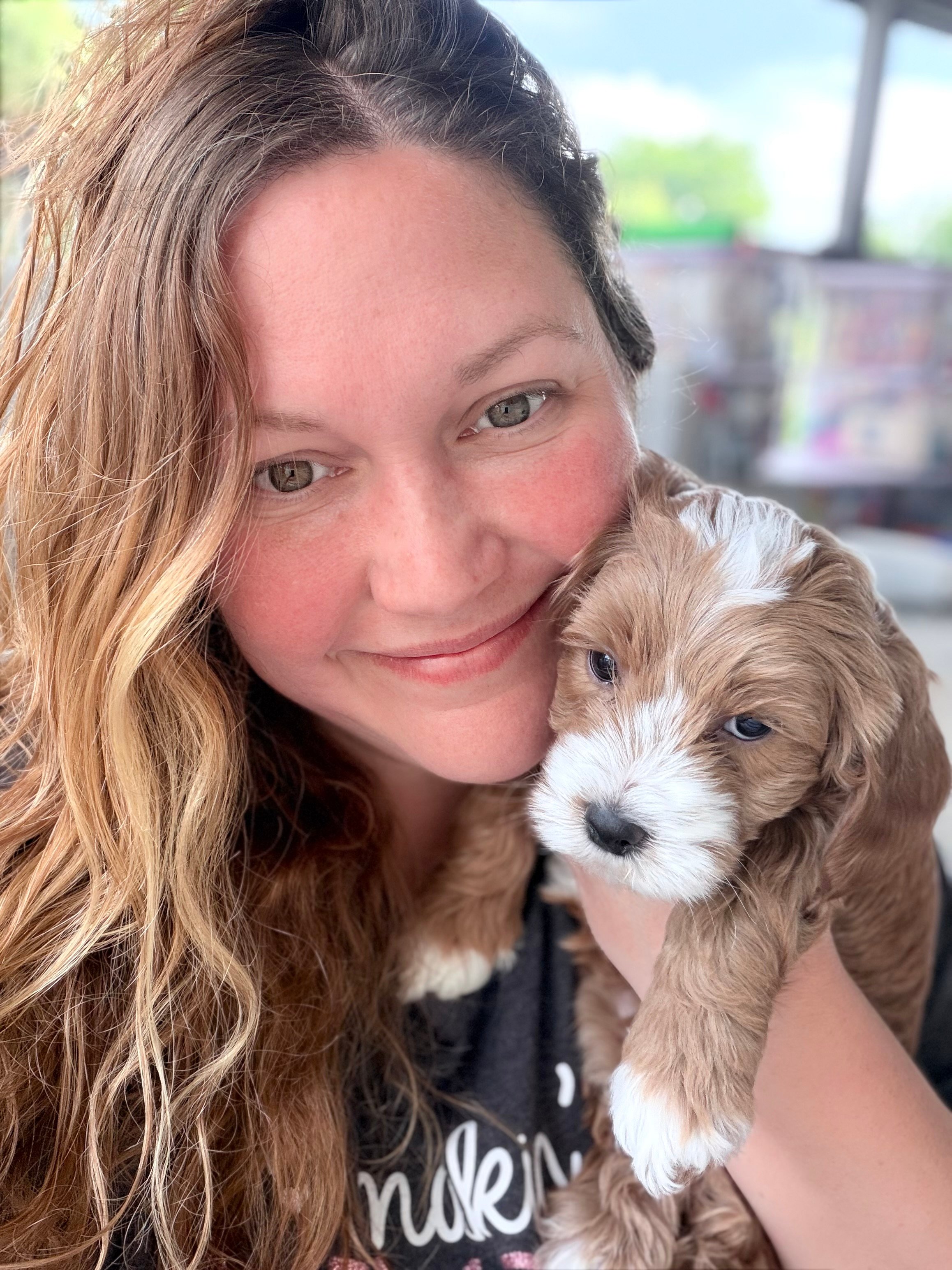 Petite Goldendoodle — Ez-Zee Dee (photo 1 of 2)