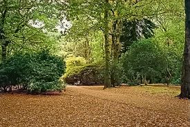 Autumn Park