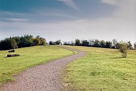 Hill Path