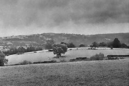 Fields and Hills