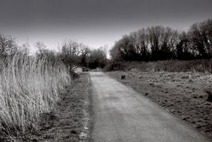 Nikon EM Hendre Lake 2023