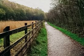 Taff Bargoed