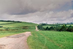 Mountain Road  -- 2023