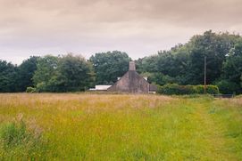 Farmhouse Caerphilly --- 2024