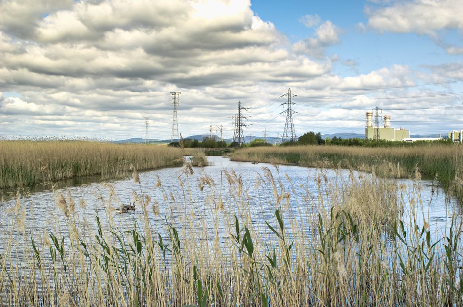 Newport Wetlands 