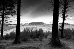 December -- Cwmcarn