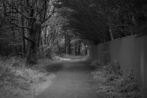 December -- Inclosed Path 