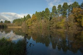 January -- Tredegar House Lake 