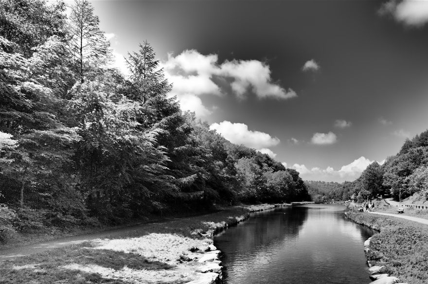 Cwmcarn Park