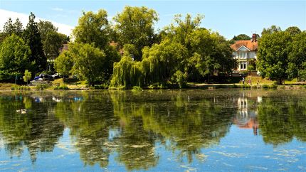 Roath Park Lake