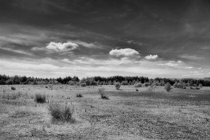 Flat Plain -- Penallta Parc