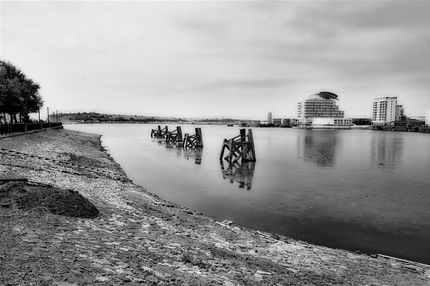 Cardiff Bay and St Davids Hotel