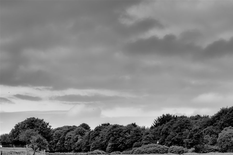 Ogmore River