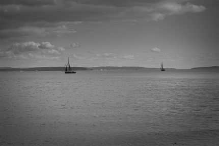 Far Sail