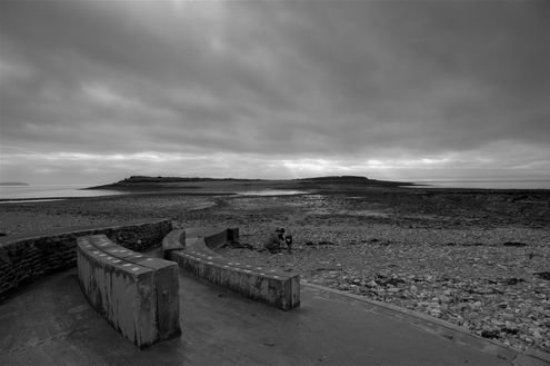 Sully Island Low Tide