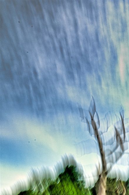 Intentional Camera Movement (ICM) test shot