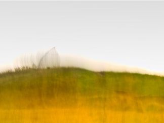 Sultan The Pit Pony (ICM) (Click Image to see Full picture)