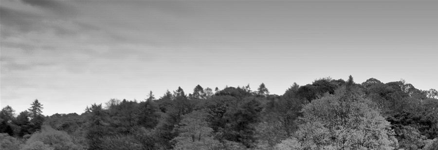 Cyfartha Park